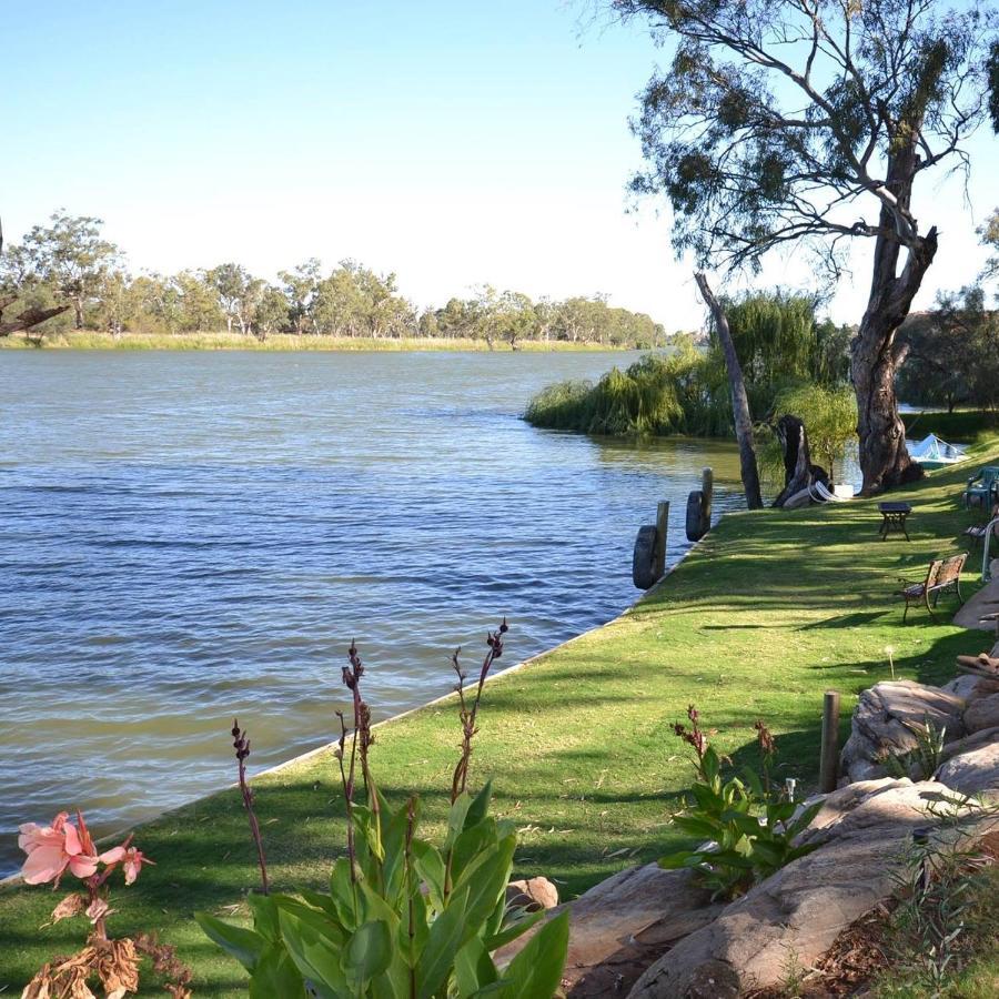 Riverbush *